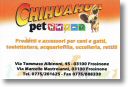 CHIHUAHUA.jpg